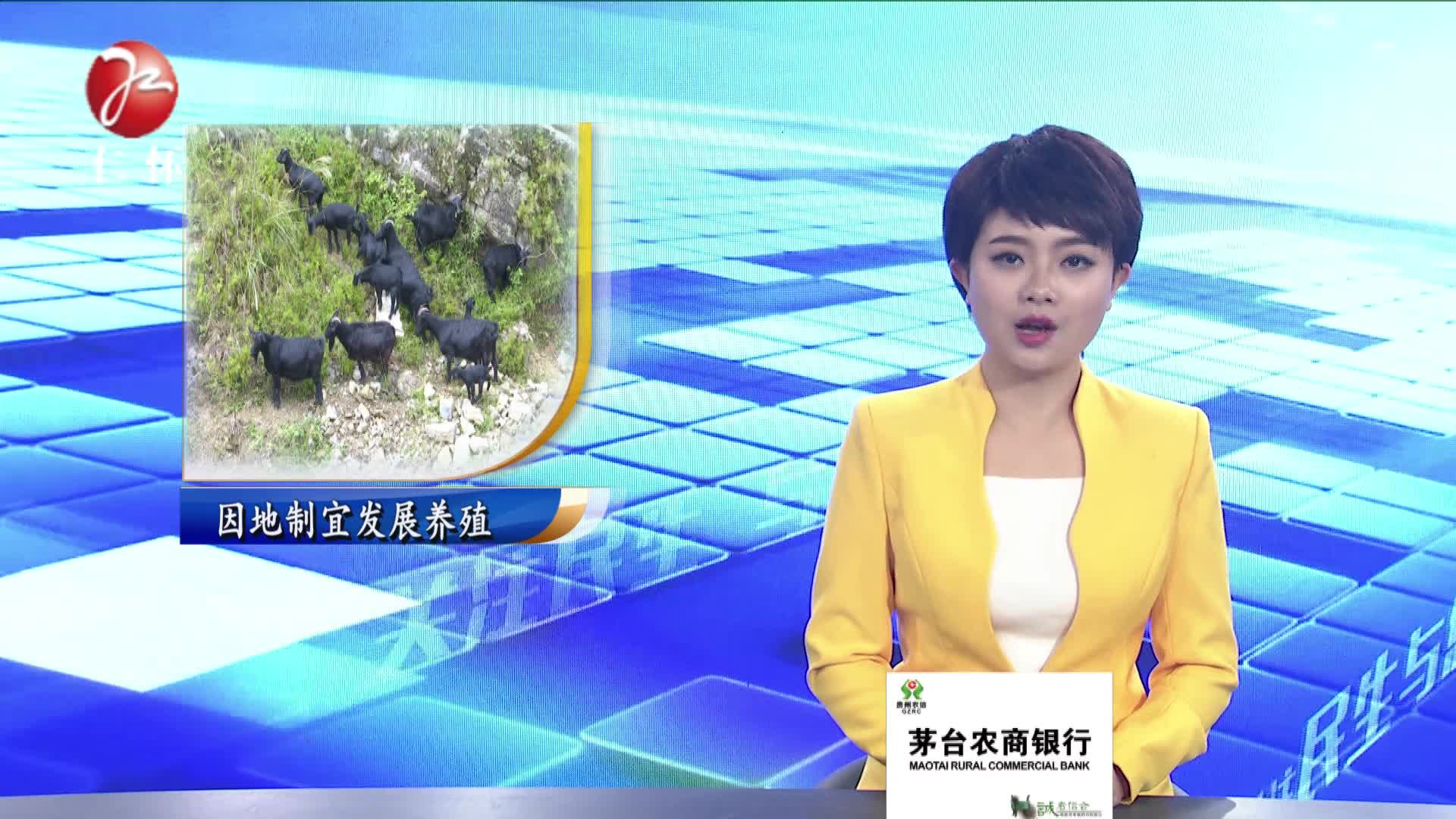 因地制宜发展养殖   村民增收脱贫有望