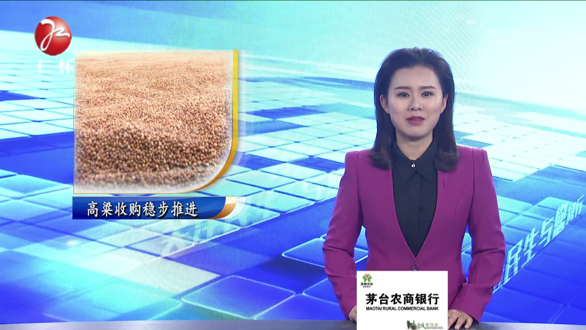 高粱收购稳步进行   村民喜笑颜开乐丰收