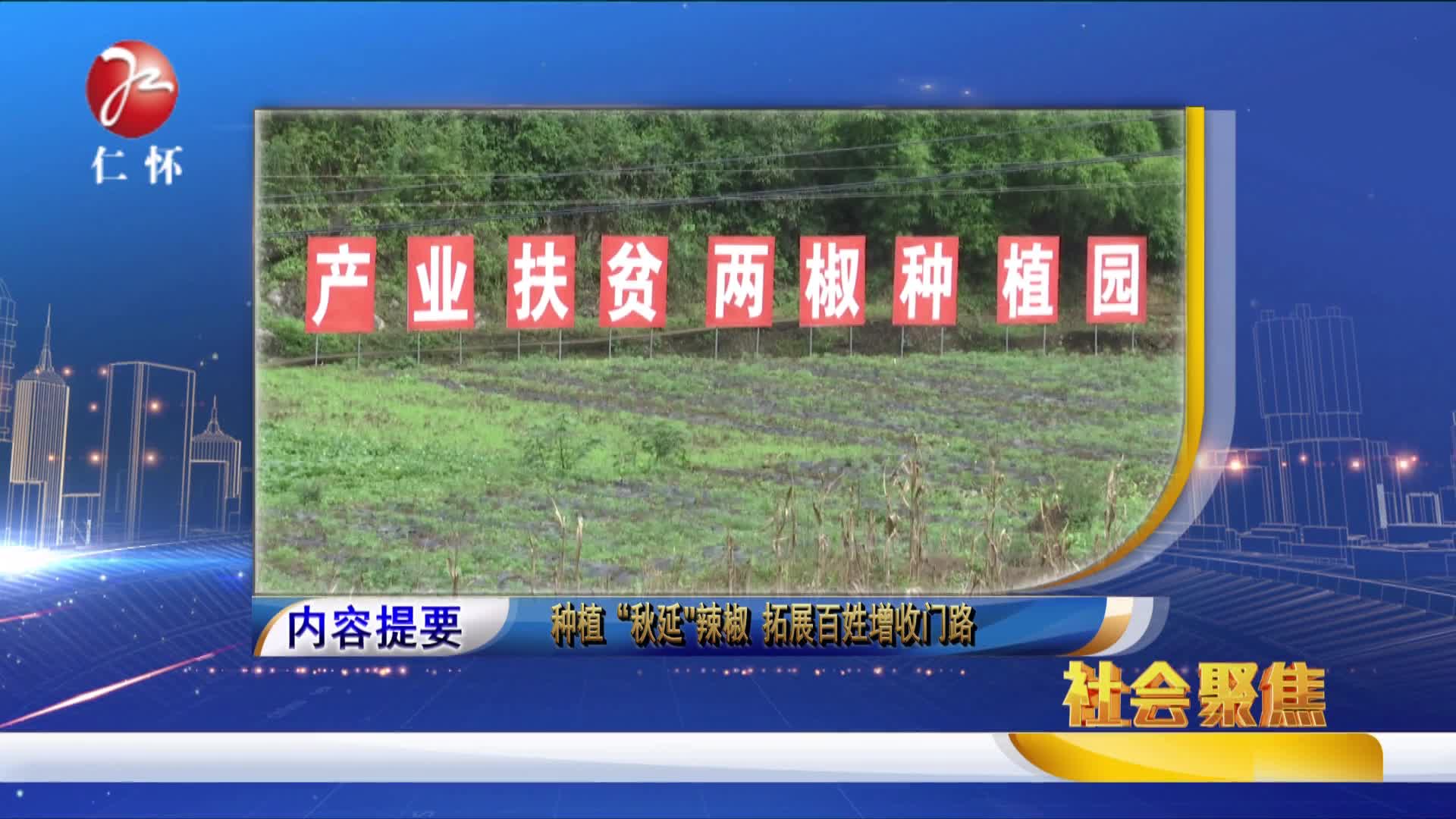 2017年11月6日社会聚焦