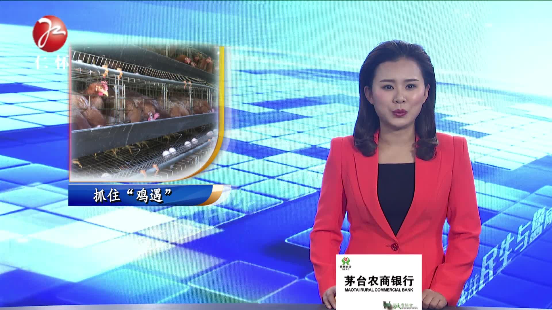 抓住&ldquo;鸡遇&rdquo; 共同致富