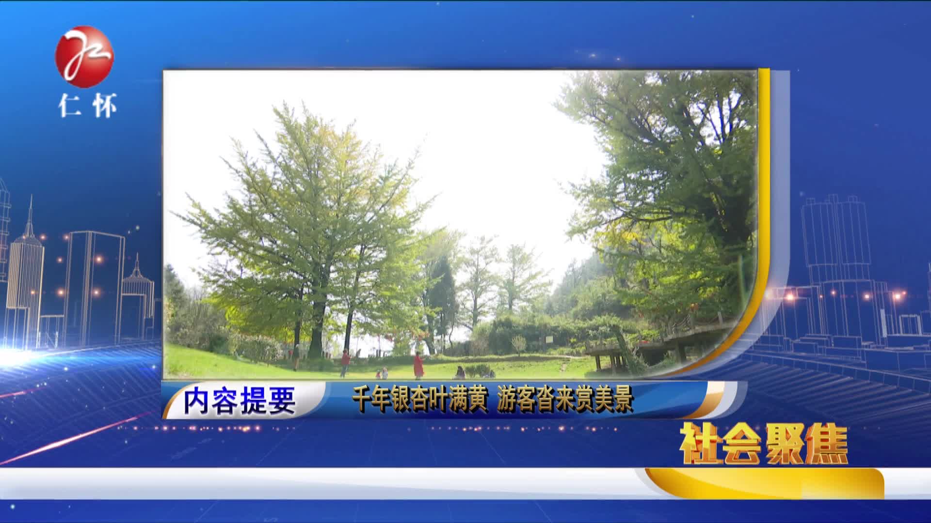 2017年11月10日社会聚焦