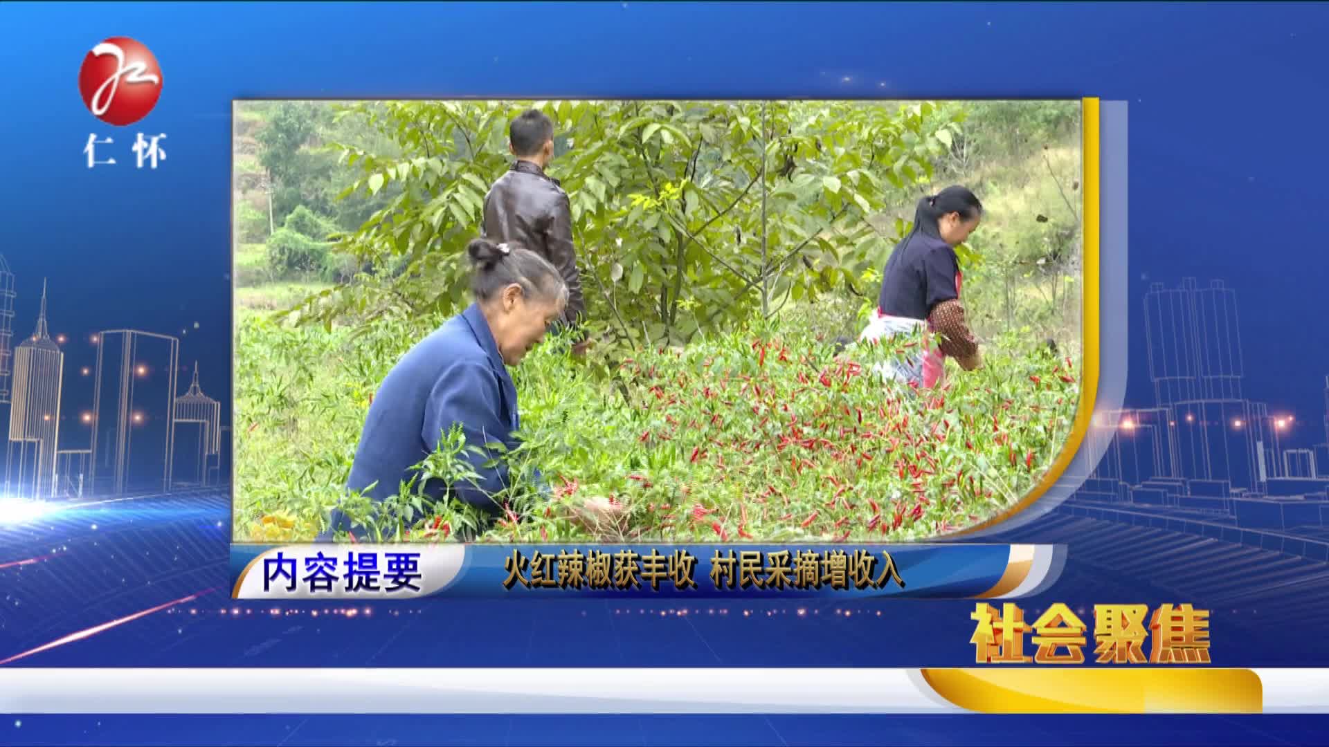 2017年11月13日社会聚焦