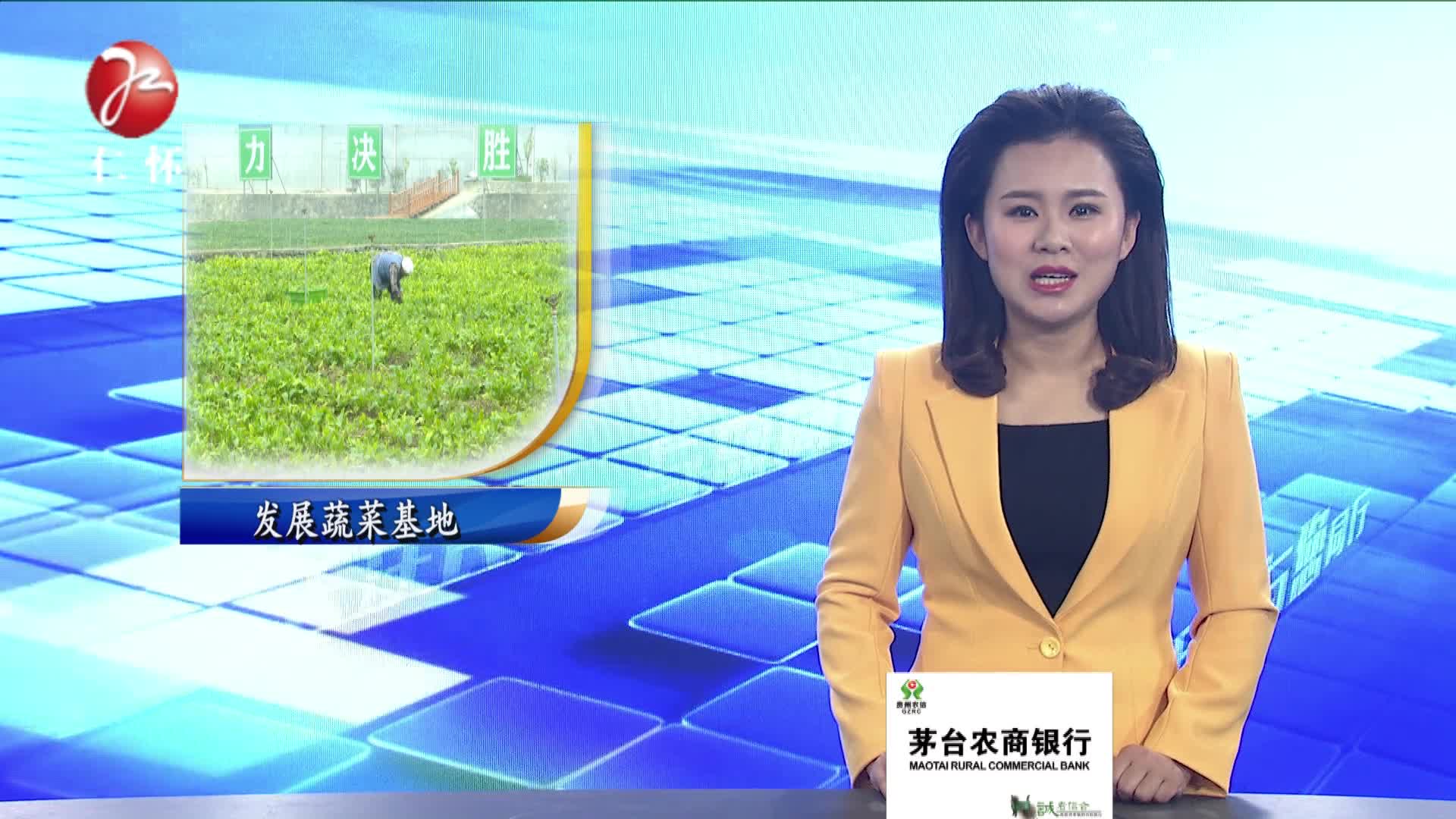 发展蔬菜种植基地 助农稳步增收致富