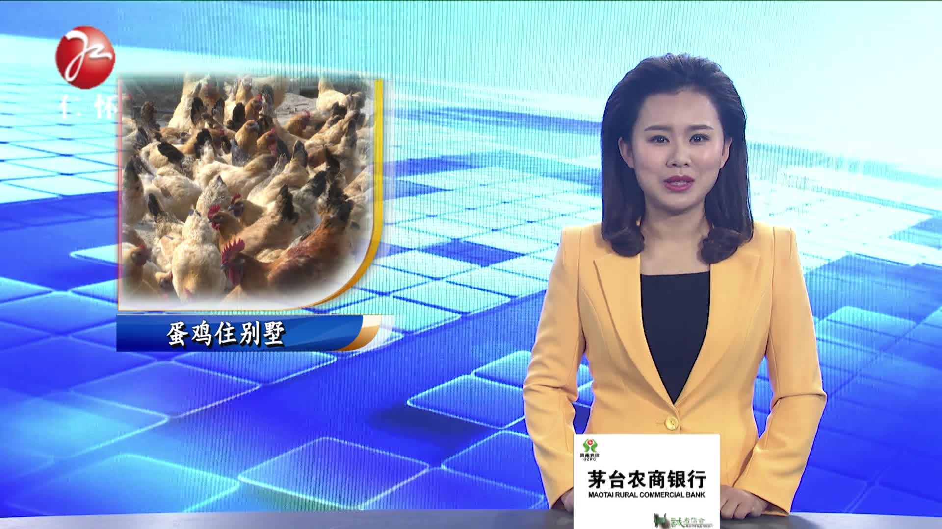 山中黄金屋 蛋鸡住别墅