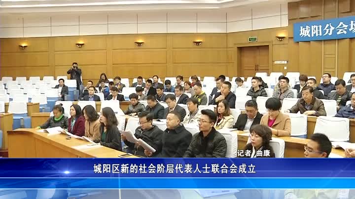 城阳区新的社会阶层代表人士联合会成立