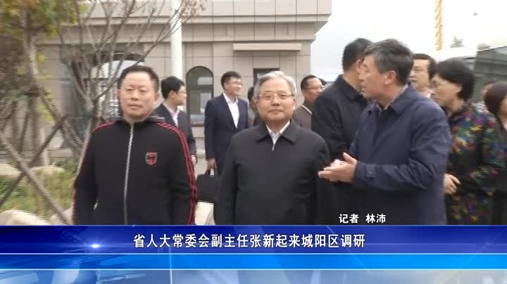 省人大常委会副主任张新起来城阳区调研