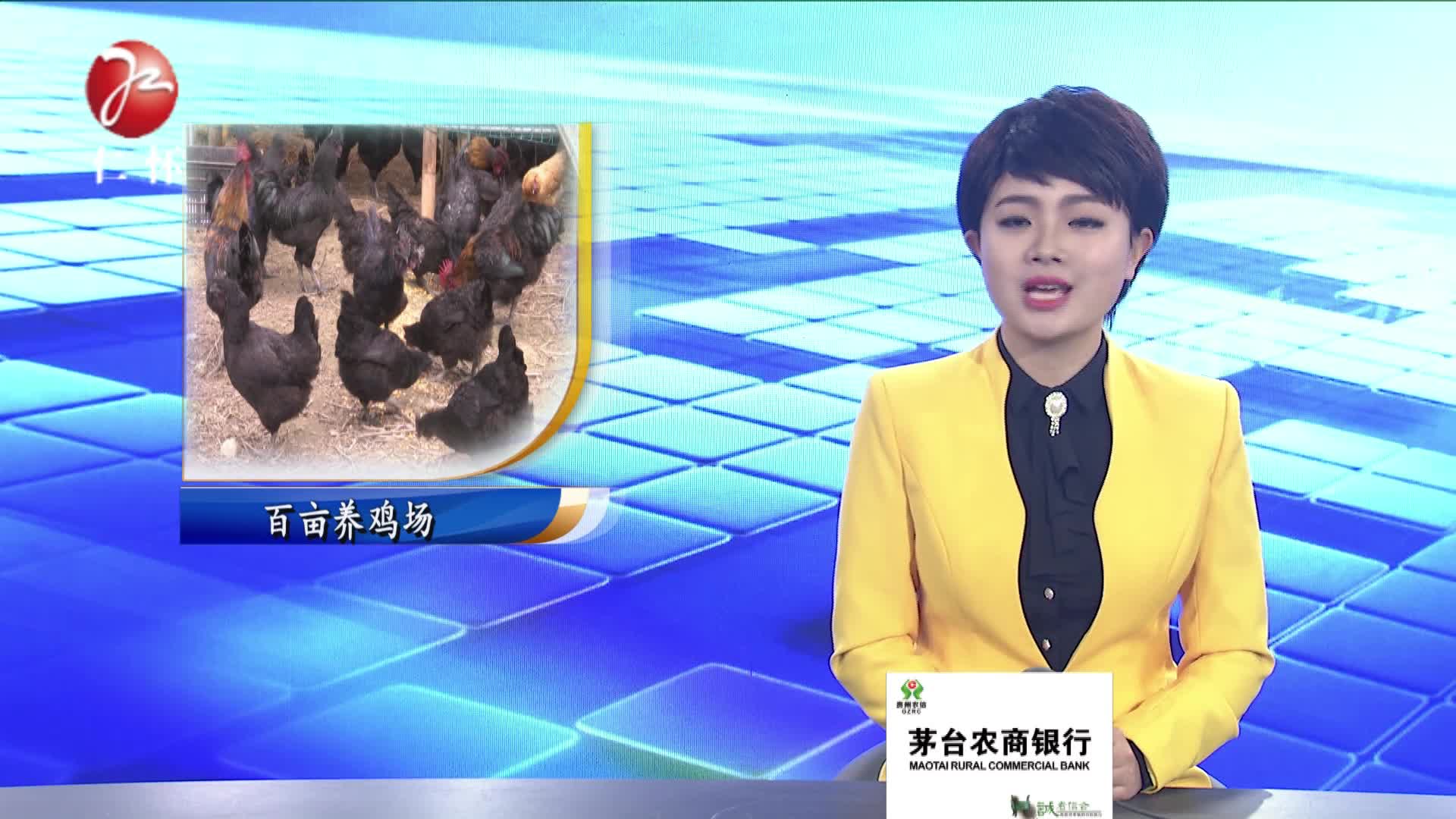 创建百亩鸡场 助力家乡发展