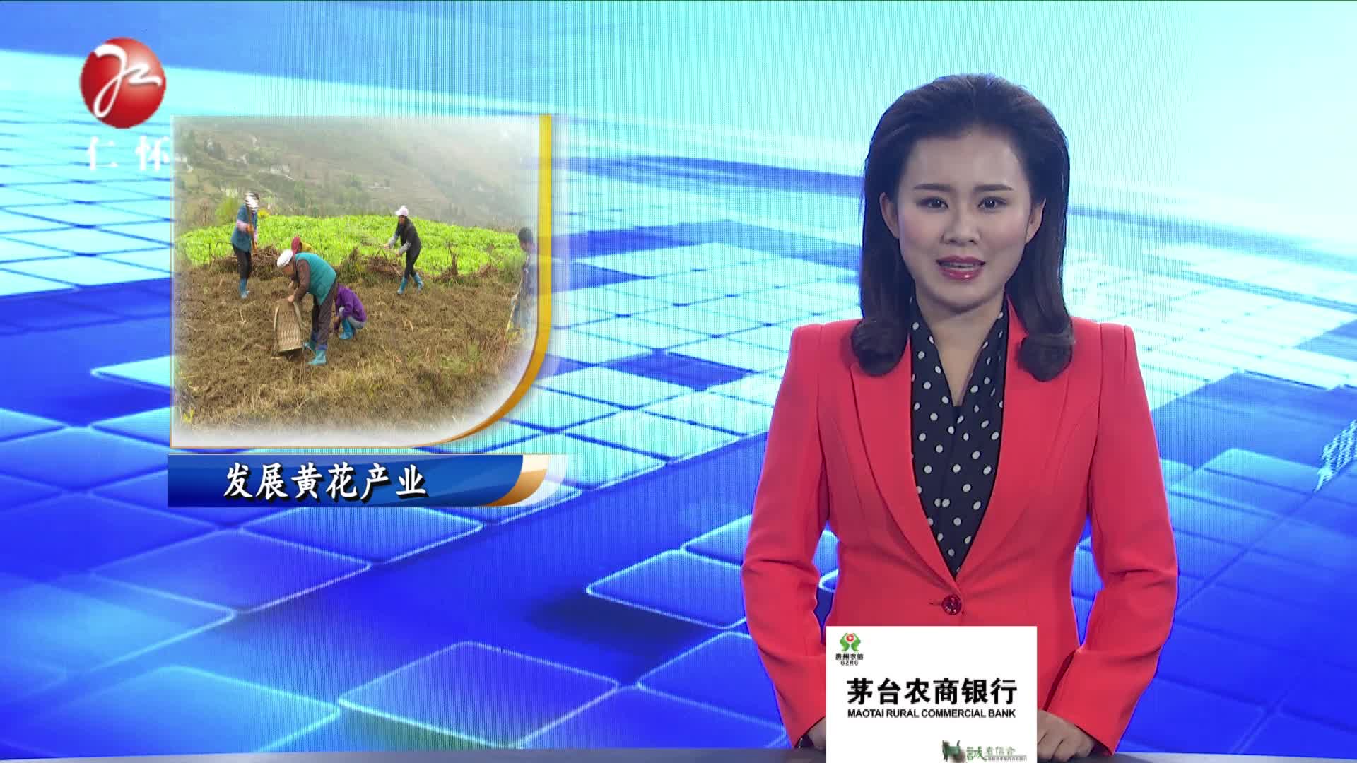 依托品牌优势  助力群众脱贫