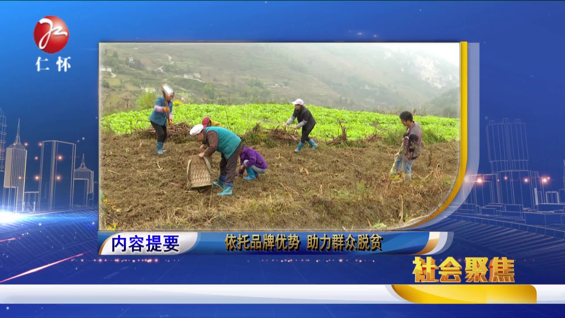 2017年11月22日社会聚焦