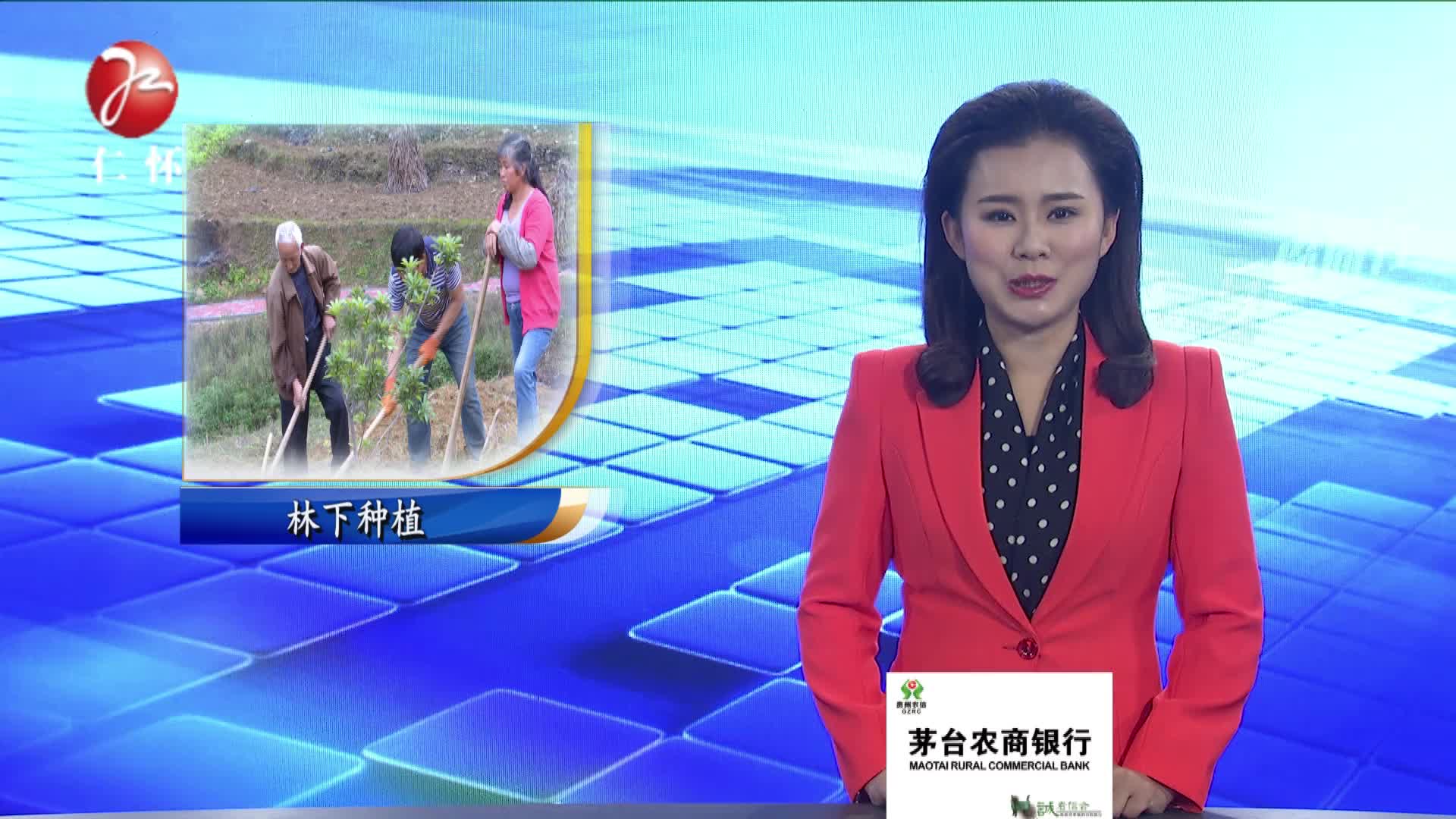 杨梅林下种蔬菜 &nbsp;村民寻得好&ldquo;钱途&rdquo;