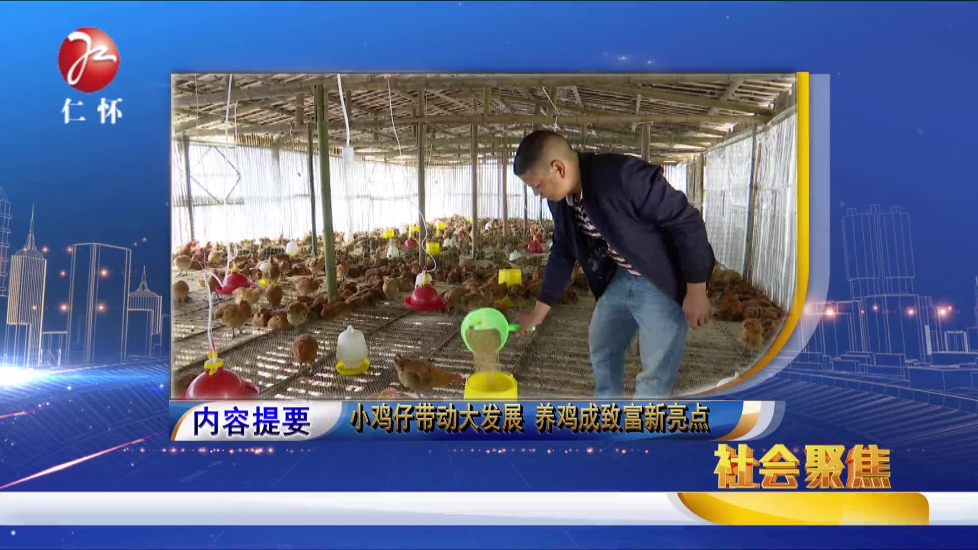 2017年11月24日社会聚焦