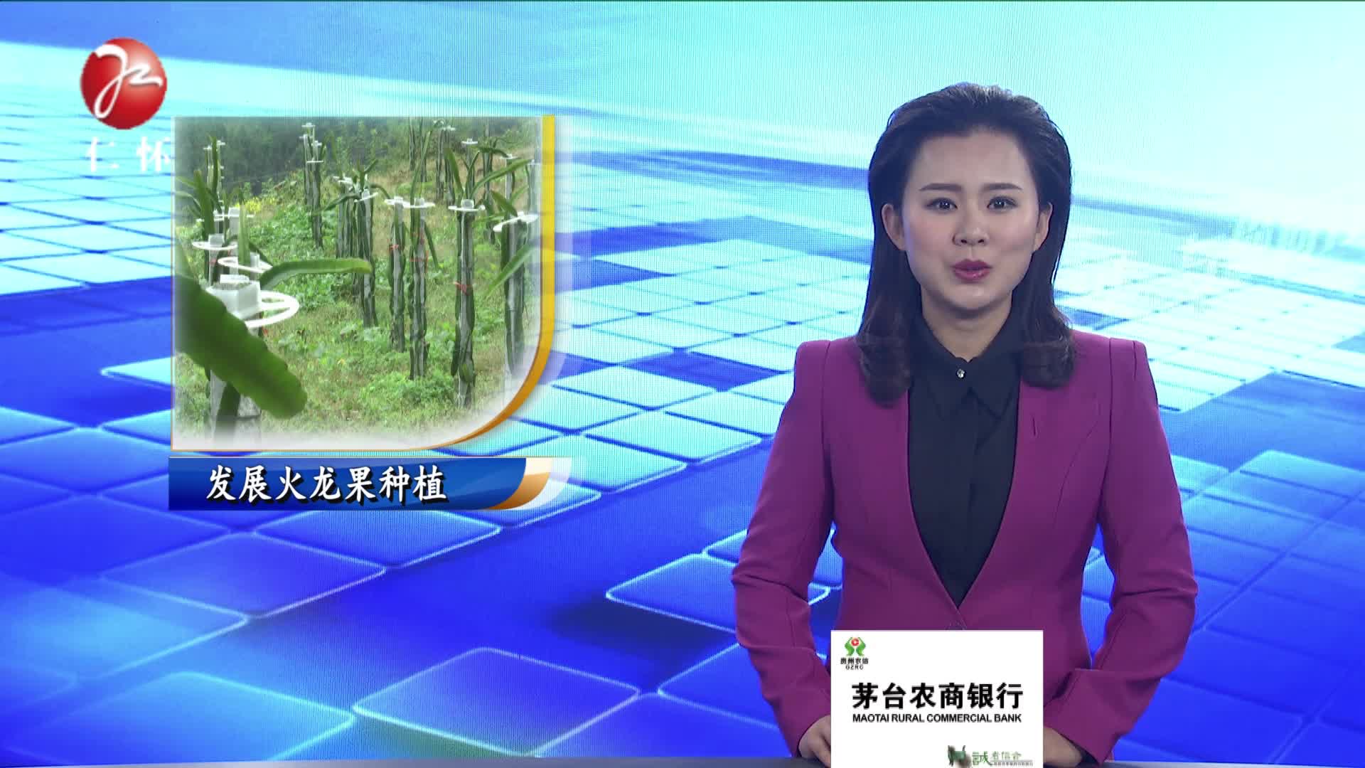 因地制宜谋出路    种植水果助发展